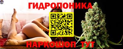 молекула духа Донской