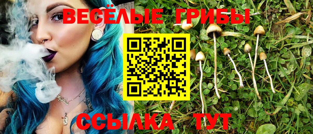 Псилоцибиновые грибы GOLDEN TEACHER  как найти закладки  Лысьва  Галлюциногенные грибы MAGIC MUSHROOMS  Вход с VPN 